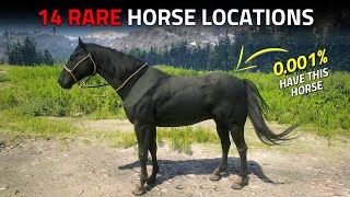 14 Rare Horse Locations - RDR2