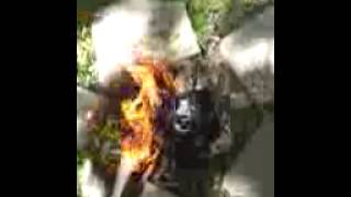 Exploding DVD Drive!!