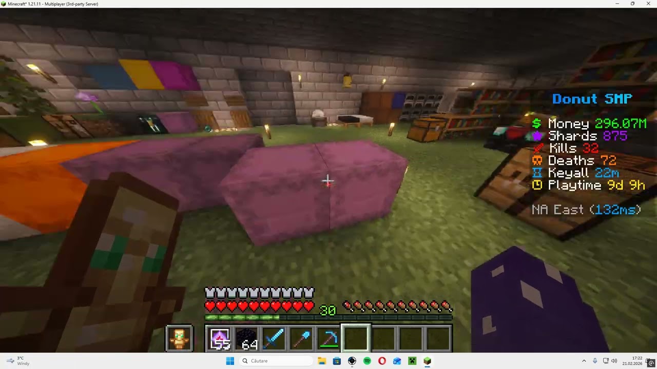 Minecraft Donut SMP bug