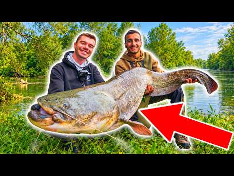 Catfishing with Constantin