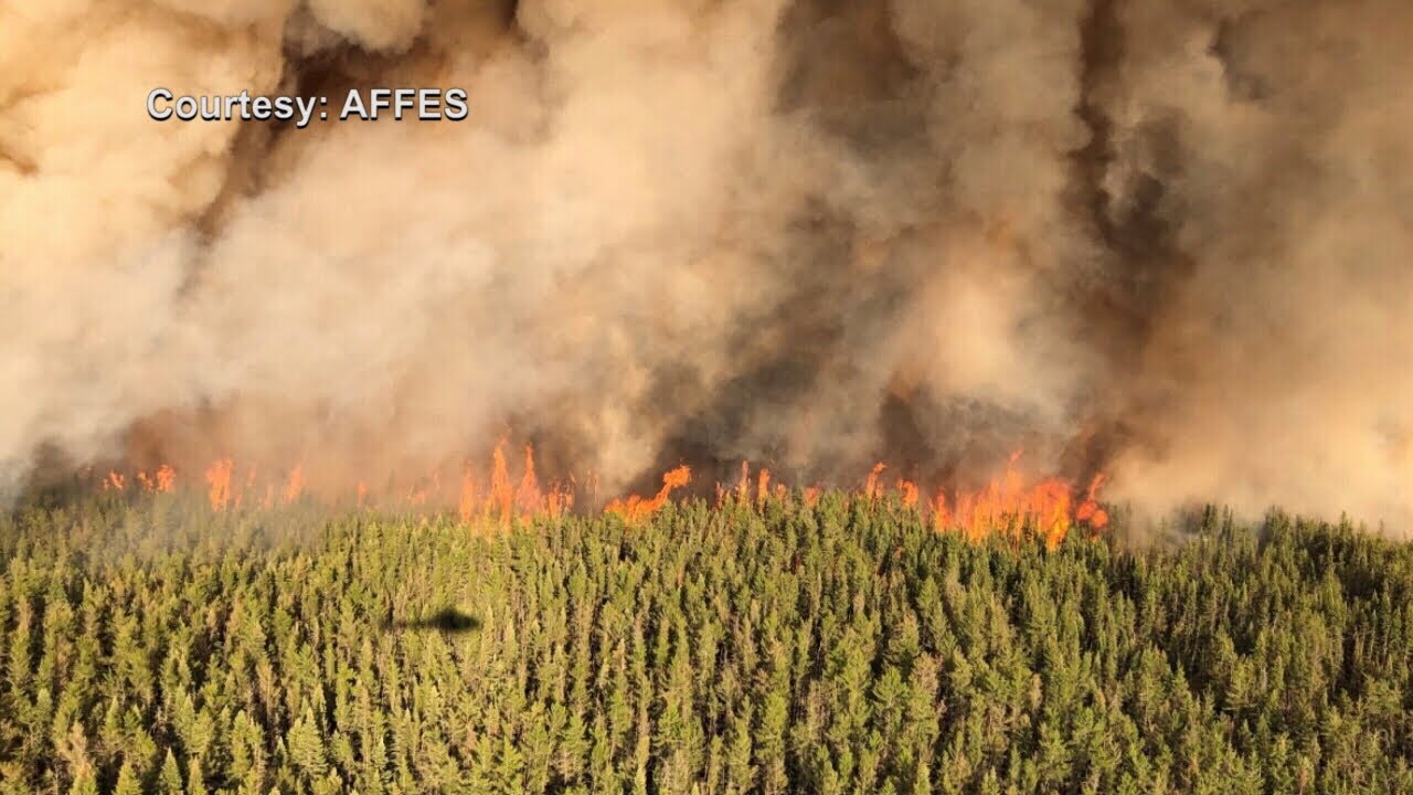 Ontario's forest fire season has officially started