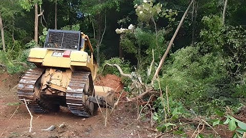 The Desperate Action of the CAT D6R XL Bulldozer Operator Opens up Long-Abandoned Land