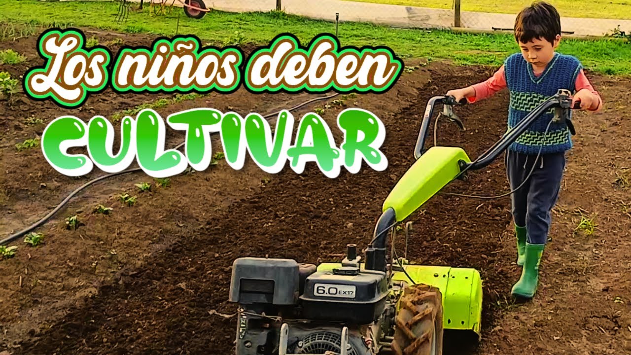 Los niños deben cultivar alimentos