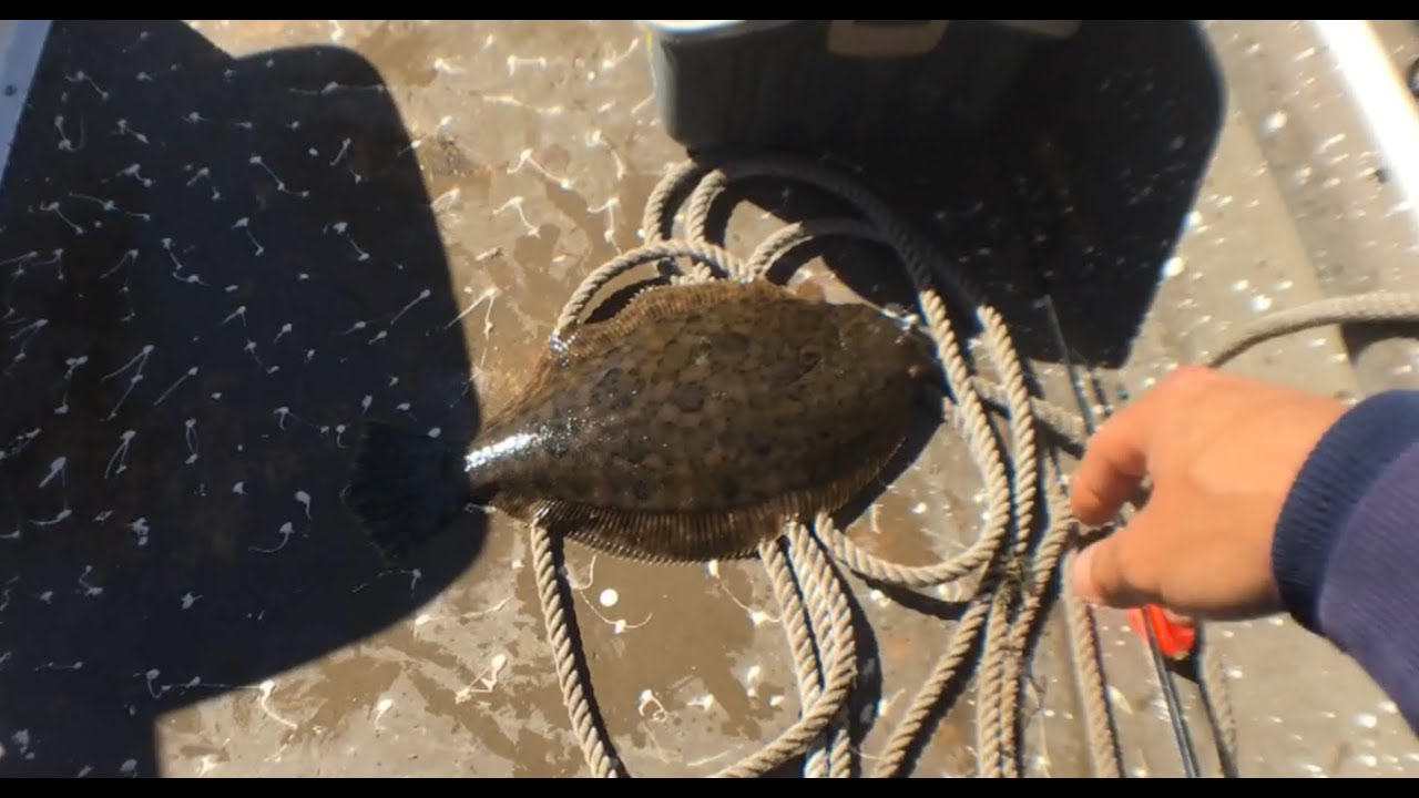 Flounder fishing with Chris at Shell Beach, Louisiana, Speckled Trout