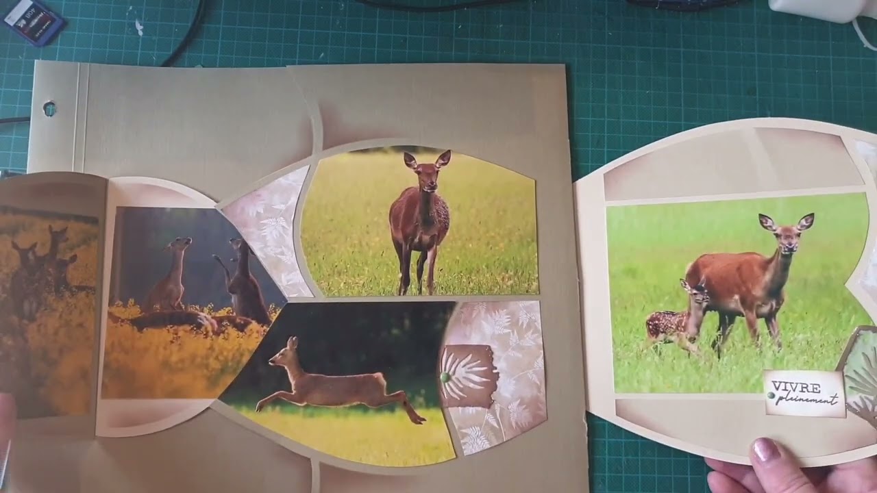 Nouveau Gabarit Brooklyn Mars 2023 Azza