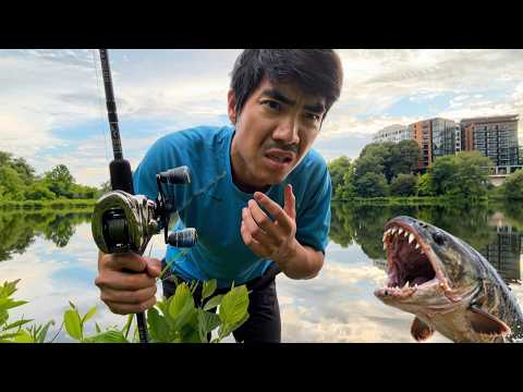 I Investigated a NEW INVASIVE Fish Species in my Home Lake... (A Wild @FishingWithNorm  APPEARS!!)