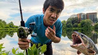 I Investigated a NEW INVASIVE Fish Species in my Home Lake... (A Wild @FishingWithNorm  APPEARS!!)