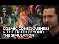 Cosmic consciousness and the truth beyond simulation theory  bobby azarian