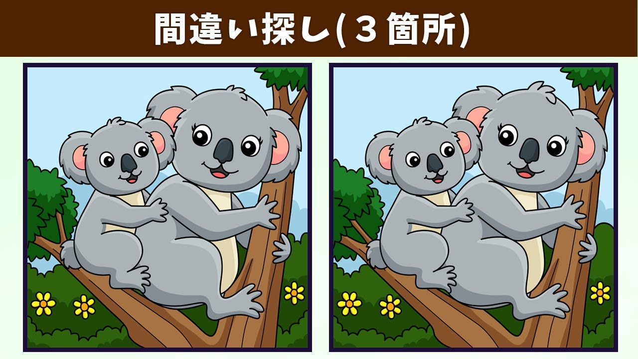 Найдите 3 отличия | Иллюстрация Версия #1171