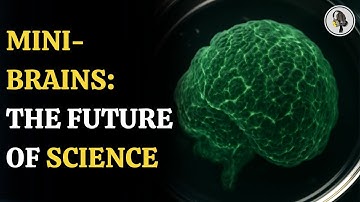 Scientists Create Mini-Brains Using Cells from Multiple People | WION Podcast