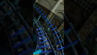 CRAZY Indoor Roller Coaster in KOREA 🤪🇰🇷 #shorts #rollercoaster