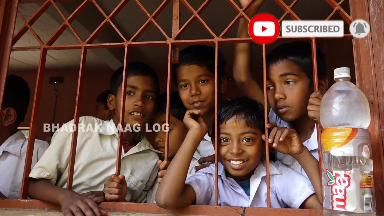 Monocled Cobra Snake Rescue At- Haladharabindha Budanga U P School, Budanga, Dolasahi, Bhadrak