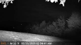 0204   What are these strange flying objects in the sky ?