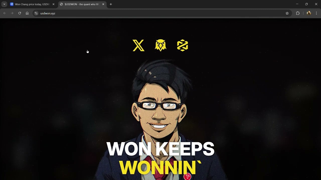 Что такое токен Won Chang ($USDWON) | Обзор токена $USDWON