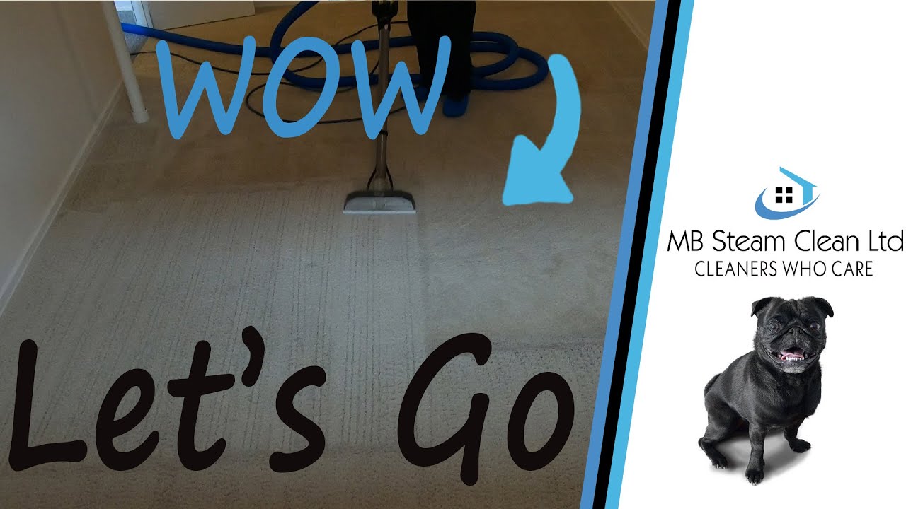 Carpet Cleaning Calgary | MB Steam Clean Ltd