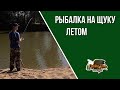 Рыбалка на щуку летом