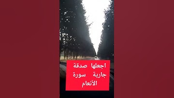 ساهم معنا في نشر آيات من سورة الأنعام😍#سورة_الأنعام #قران_كريم #قرآن #المصحف #quran #اكسبلور#like