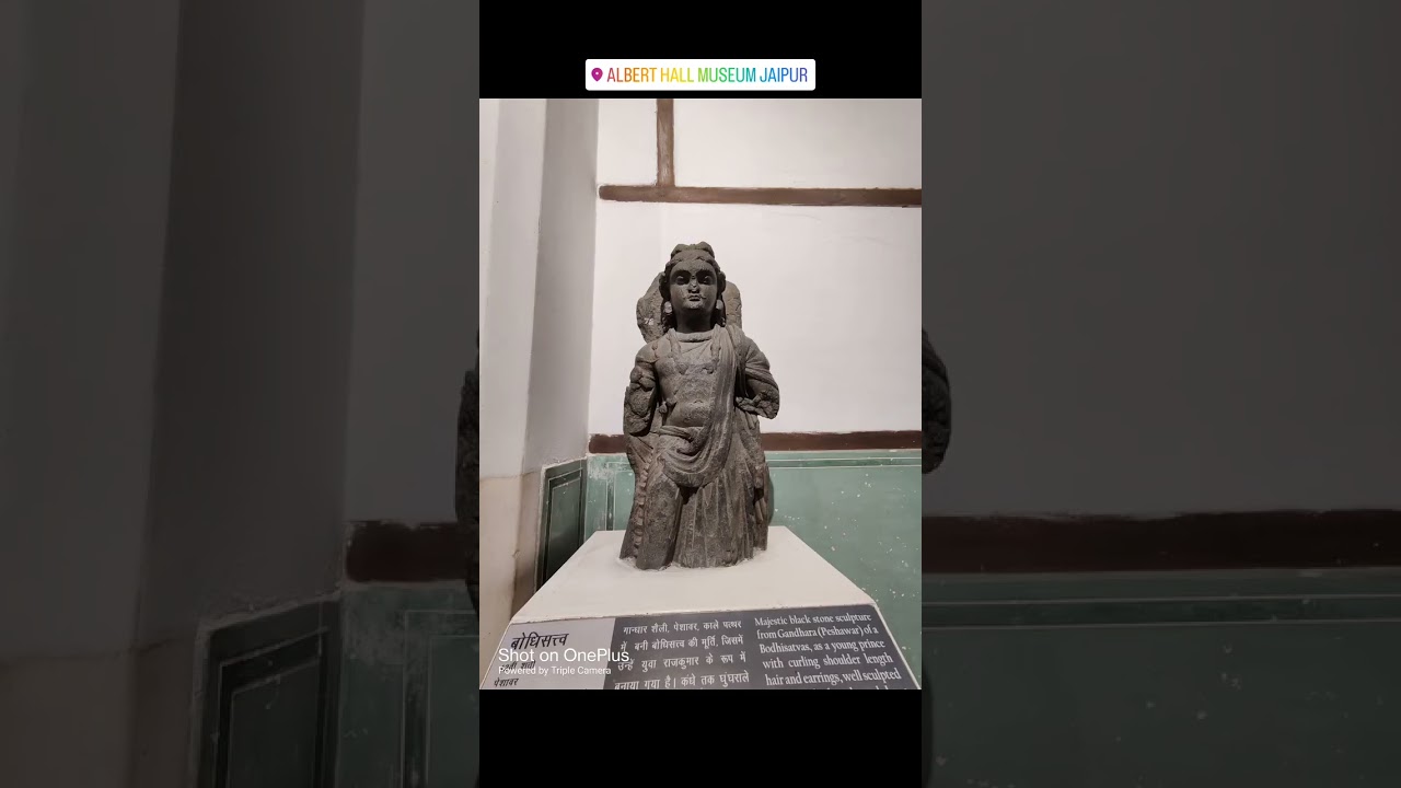 Albert Hall Museum Jaipur 