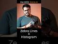 Histogram and Zebra Lines in Camera.