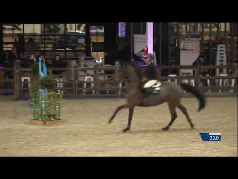 Something Else d’Esprit CSIYH 7/8 yo Lier D2