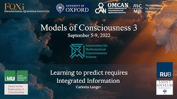 Carlotta Langer - Learning to predict requires Integrated Information