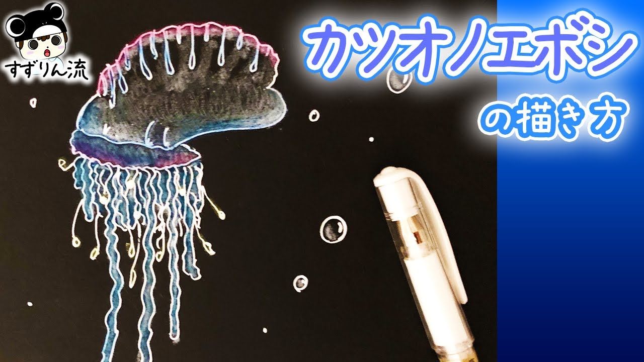 変な生き物 毒クラゲ カツオノエボシの描き方 Youtube