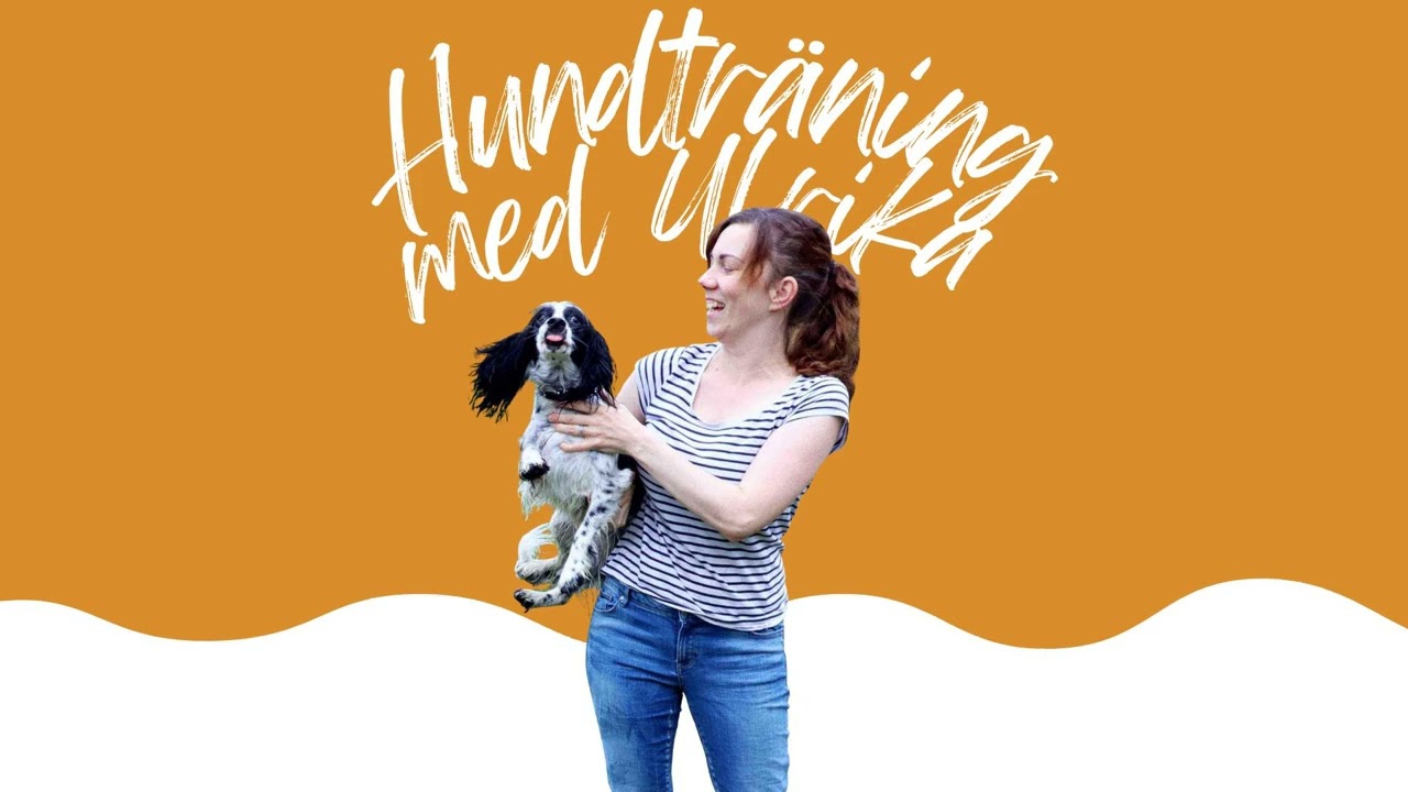 3 roliga saker att träna med en låda