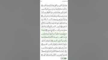 الصفحة 335 | الجزء السابع عشر | سورة الحج | الشيخ محمود الحصري| مع عرض الآيات وتظليل الكلمات.