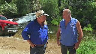Gold Nuggets In The Dargo River