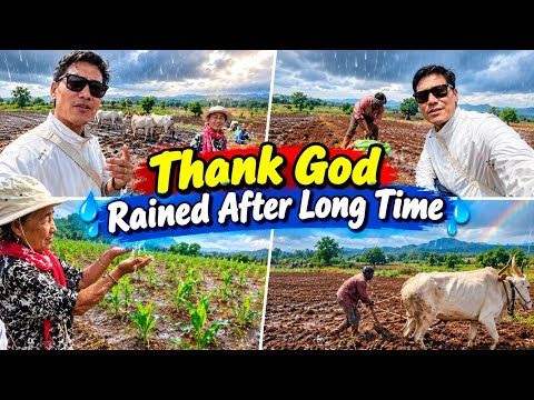 Thank God Rained After Long Time ⛈️ Kollegal Farmer ||Dhondenling Tibetan YouTuber||Tibetan Vlogger 