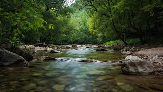 Stop Overthinking 🌊 Pure Nature Sounds Only (No Music) • Calm Your Mind
