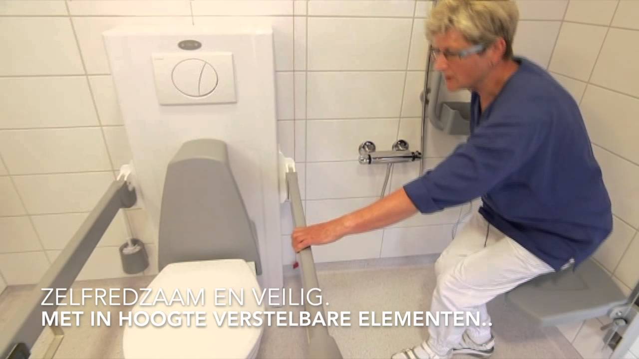 Legende Namens puur Toiletsteun (Toilethandgreep) - Badkamer hulpmiddelen - Bano Benelux