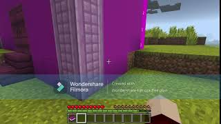 New member in Minecraft screenshot 2
