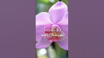 قرآن الكريم سورة الإسراء الآية 9The Holy Quran, Surah Al-Isra, Verse 9.#قران_كريم #انقذوا_غزة