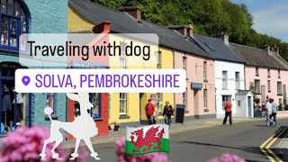 Solva,Wales traveling with dog friendly locations travel advice standard poodle