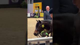 Video Thumbnail for here is the HOYS showing raw, Harlow has hunters tomorrow...