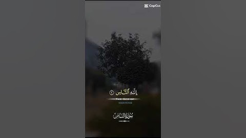 Surah An-Nas (Mankind) | Quran: 114 | Islam | سورة الناس#islam #allah #foryou