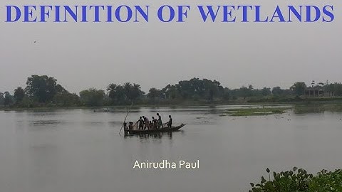 20 || Wetland Series #1: Definition of wetlands
