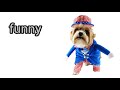 How to Pronounce Funny in British English