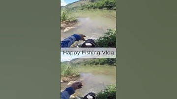 [Câu Cá Mương Hoa] - Thư Giãn Cuối Tuần, Ngon, Bổ, Rẻ và Max Phê #cauca #fishing