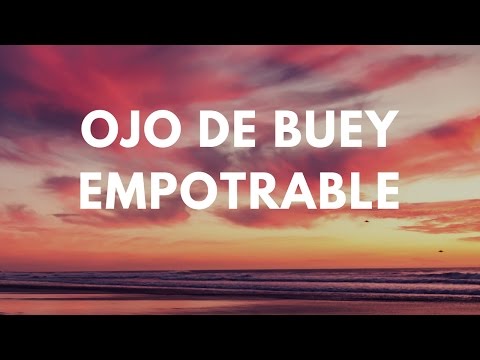 Ojo buey BARATO empotrable para techo