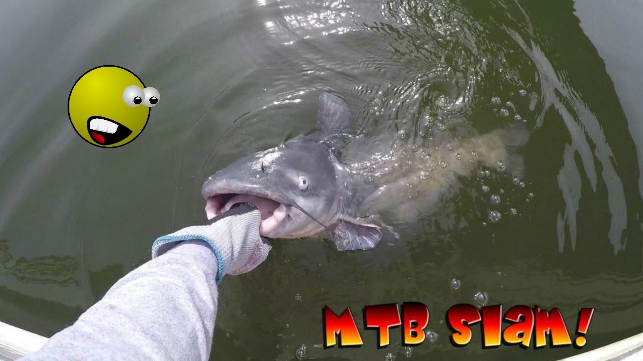 BIGGEST CATFISH EVER WITH THE MYSTERY TACKLE BOX!!! 