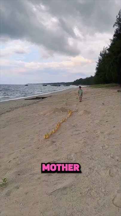 this-boy-has-a-bigger-army-than-you-youtube