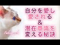 直感✨自分を愛し愛される &amp; 潜在意識を変える秘訣💖 ショートハイライト⚜️Fabius Music Yuko Light Message