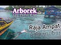 Desa wisata arborek raja ampat