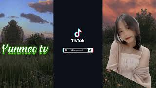 Tik Tok/  Yunmeo TV