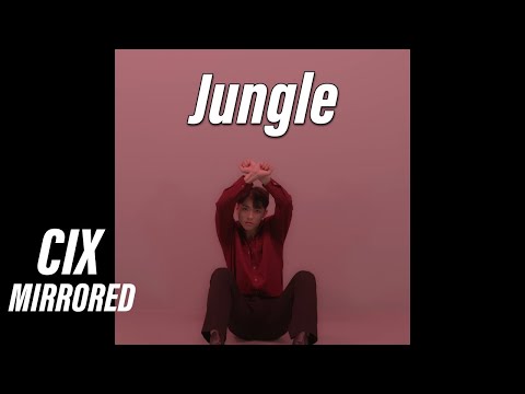 CIX (씨아이엑스) - 정글 'Jungle' 세로 안무 거울모드  Mirrored | Dance Cover | BY. 2RABBEAT DANCE STUDIO