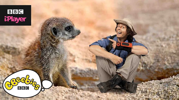 Andy's Top 5 Cutest Animals! | CBeebies