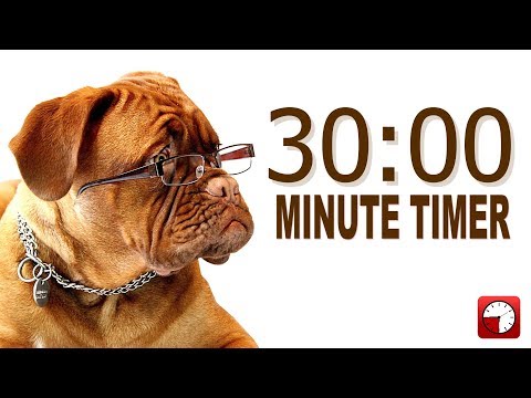 30-minute-timer-for-powerpoint-and-school---alarm-sounds-with-dog-bark