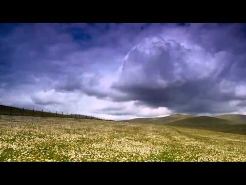 Amethystium - Meadowland